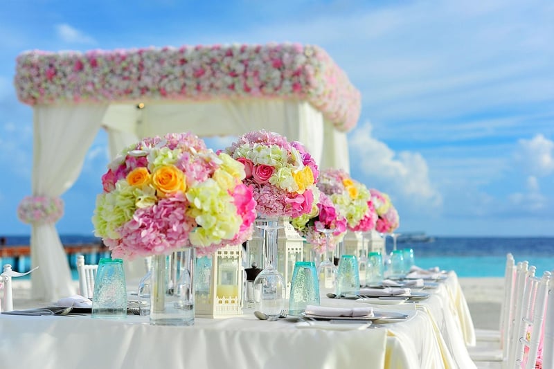 Fine Dining Escapades